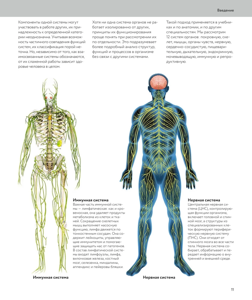 Anatomia człowieka. Wizualny przewodnik po wszystkich systemach organizmu: norma i patologie